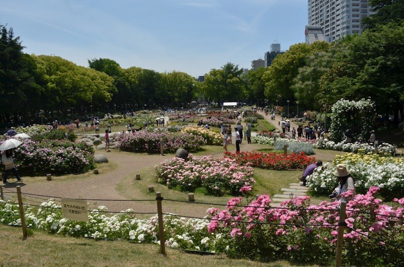 🌳 우쓰보 공원 이미지 8